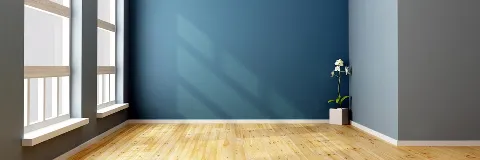Smart Painting in Sunnyvale