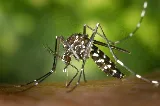 Southeast Florida Pest Control photo 5