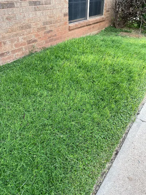 Shaw Landscaping photo 1