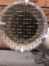 Fast Pest Control - Oakville photo 6
