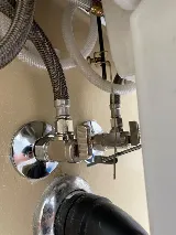 Paws Plumbing photo 7