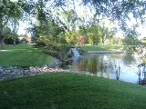 Green Ventures Landscape Care Limited photo 7