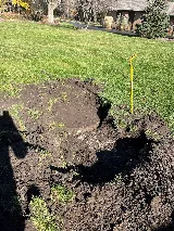 Tidy Tank Plumbing, Sewer & Septic photo 6
