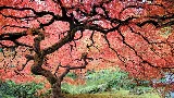 A Perfect Edge Landscaping LLC