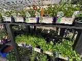 Green View photo 6