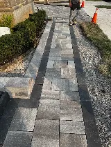 Lion of construction & landscaping & snow removal photo 4