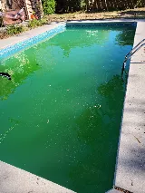 Travis' Clean Pool Service photo 3