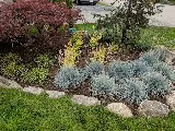Richmond Landscaping & Design photo 2