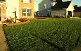 Calanni Landscaping LLC photo 3