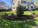Frascatore Landscaping LLC photo 2