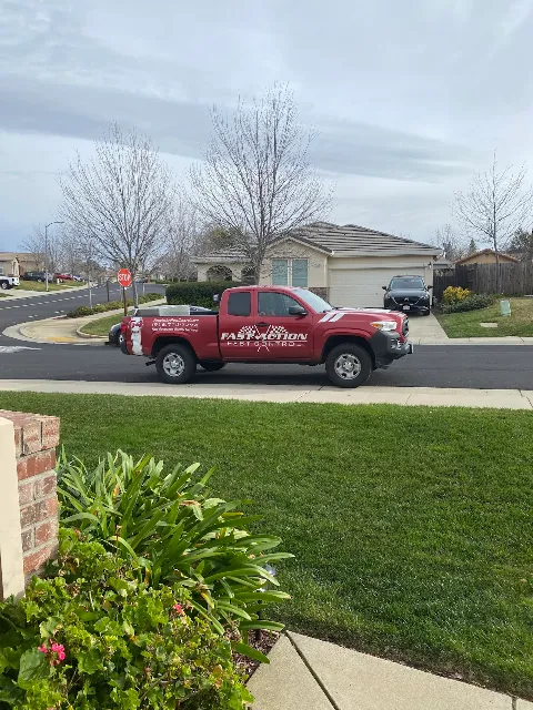 Fast Action Pest Control photo 1