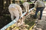 Lawn Care Solutions photo 8