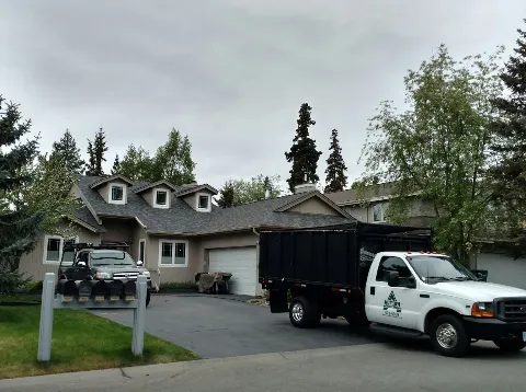 Action Roofing Services Inc in Anchorage