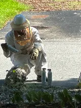 Fox Pest Control Manchester photo 7