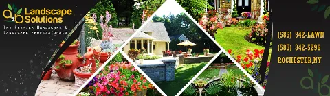Landscape Solutions photo 1