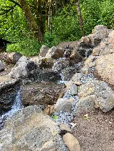 Woody's Custom Landscaping, Inc. photo 9