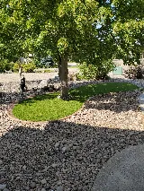 Lush Landscaping & Restoration Ltd. photo 7