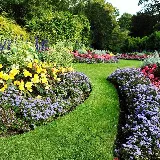 DM Landscape and Maintenance photo 7