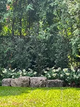 Walter's Landscaping photo 2