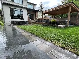 Live Edge Landscaping