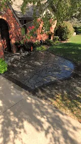 Top Tier Lawn and Landscaping photo 4