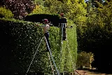 Ascent Yard Care photo 8