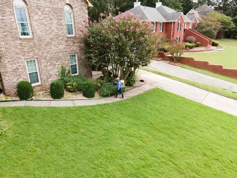 Atlus Pest Solutions Memphis photo 1