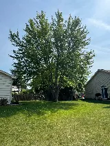 Larry & Sons Landscaping photo 7