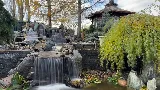 Stones Edge Landscaping