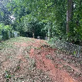 Lawn & Order Landscaping photo 7
