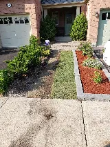 Rozy Landscaping photo 7