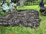 207 Landscaping Tree Service, LLC photo 4