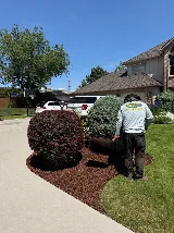 Abel’s and Sons Lawn Services llc photo 8