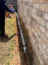Web Termite & Pest Control, LLC photo 7