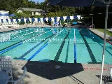 Prins Pool Remodeling photo 4