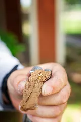 855Bugs.com photo 6