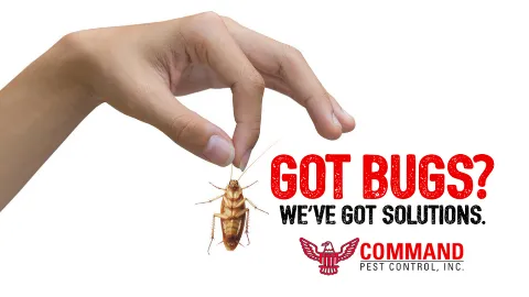 Command Pest Control photo 1