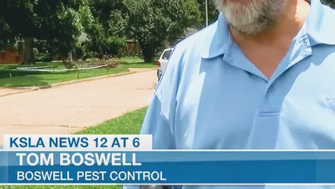 Boswell Pest Control Shreveport in Shreveport