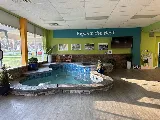 Design Pool & Spa photo 6