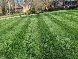 Southern Turf Management photo 2