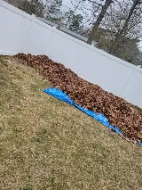 Mr. B.'s Landscaping & More LLC photo 7