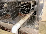 Prime Pest Solutions photo 8
