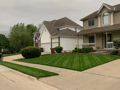 Prime Landscapers photo 1