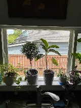 Liberty Glass, Blinds & Shades Inc. photo 4