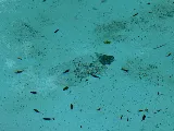 Total Pool Care photo 8
