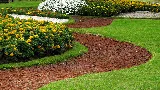 Leprechaun Landscaping Of Coral Springs photo 3