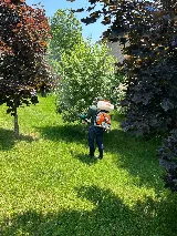 Mosquito Man Oakville photo 5