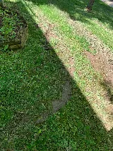 Mow-It-Alls, LLC photo 3