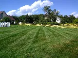 Rivera's Lawn Care & Landscaping LLC photo 6