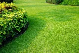 Cory's Lawn Service photo 8